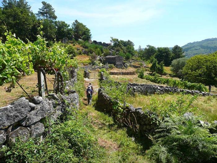 Casa Da Gandarela Villa Soajo Eksteriør bilde